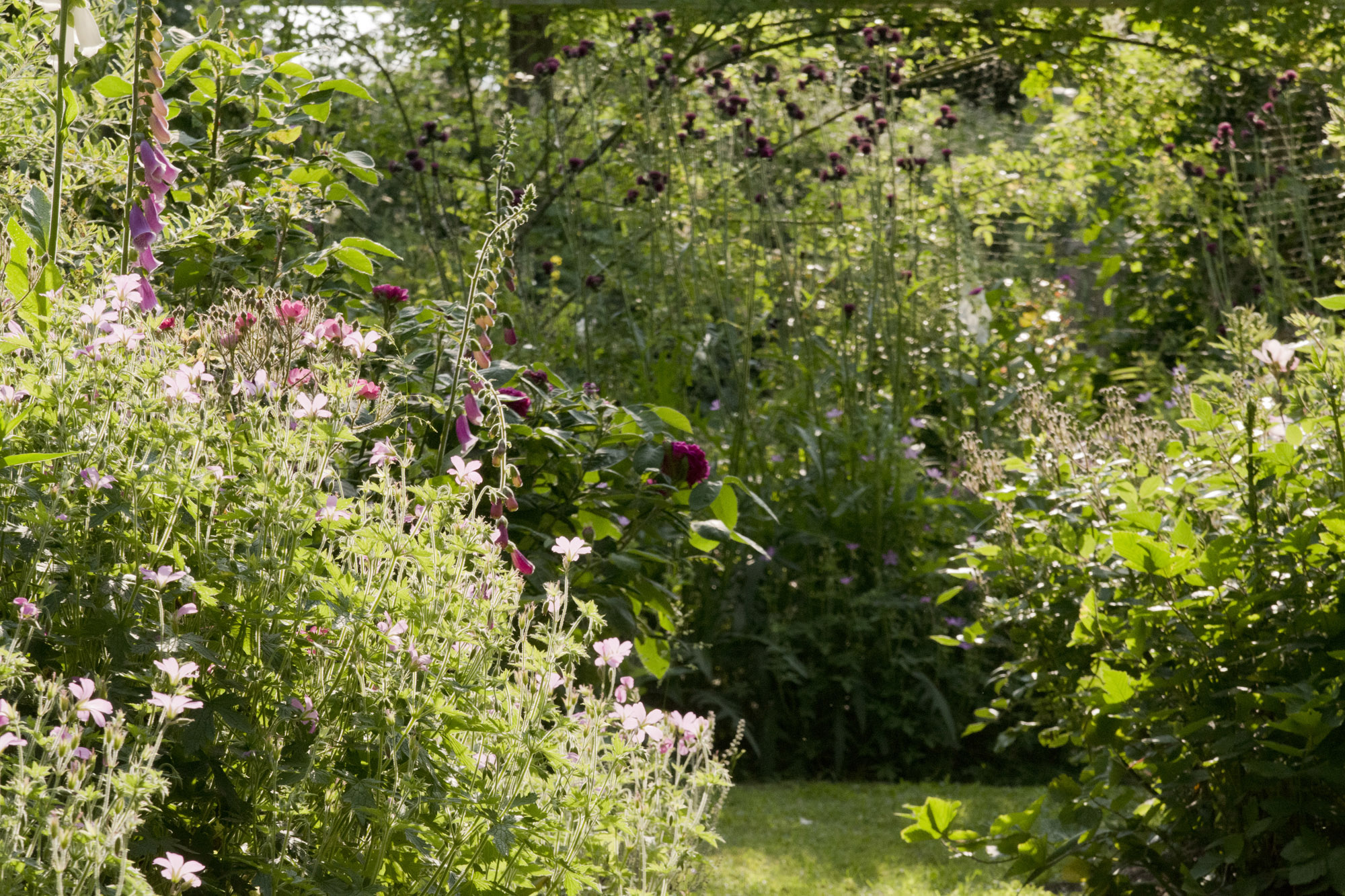 Elke Pilmaier Gartengestaltung