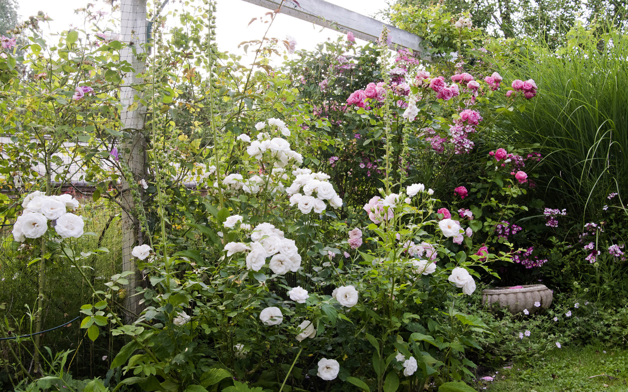 Elke Pilmaier Gartengestaltung