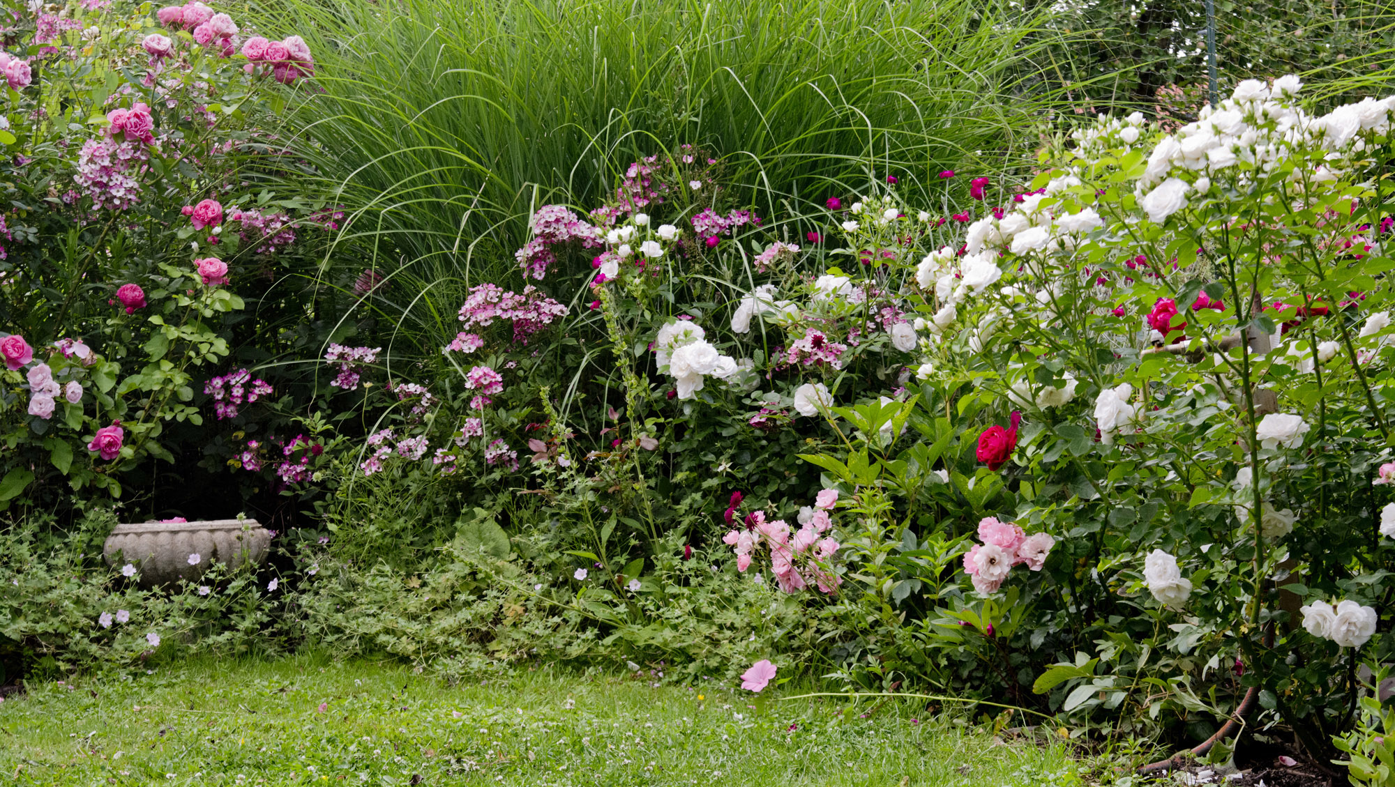 Elke Pilmaier Gartengestaltung