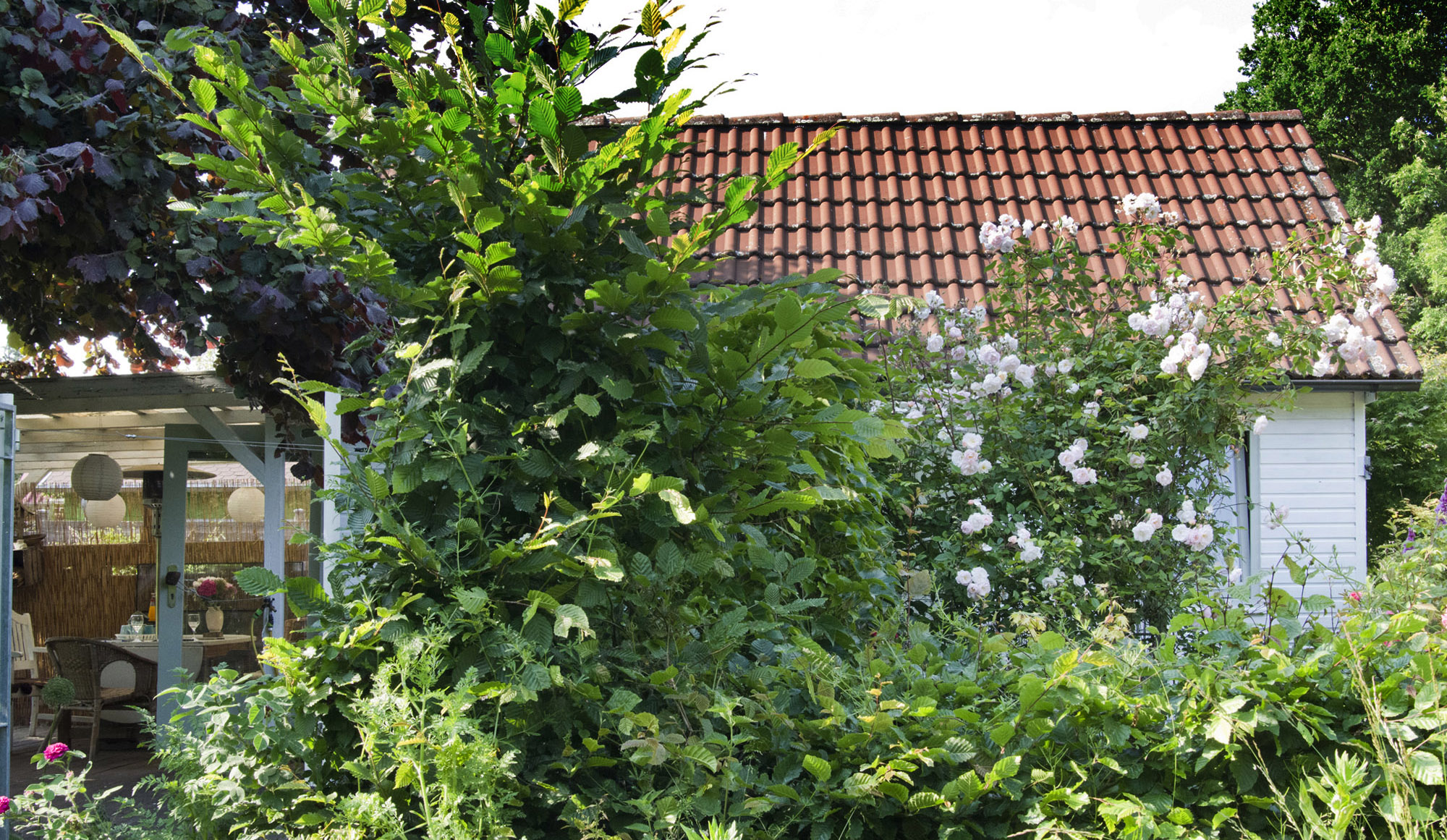 Elke Pilmaier Gartengestaltung