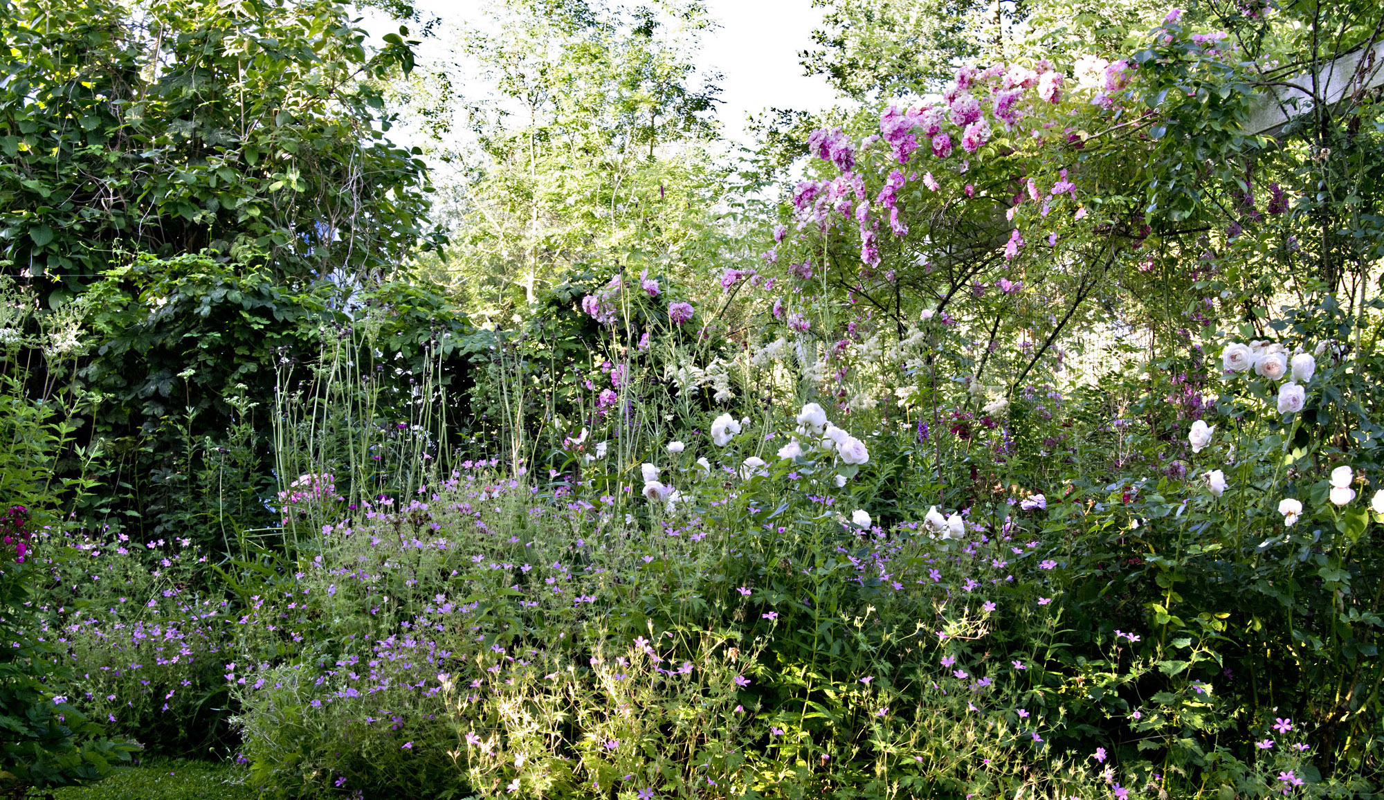 Elke Pilmaier Gartengestaltung