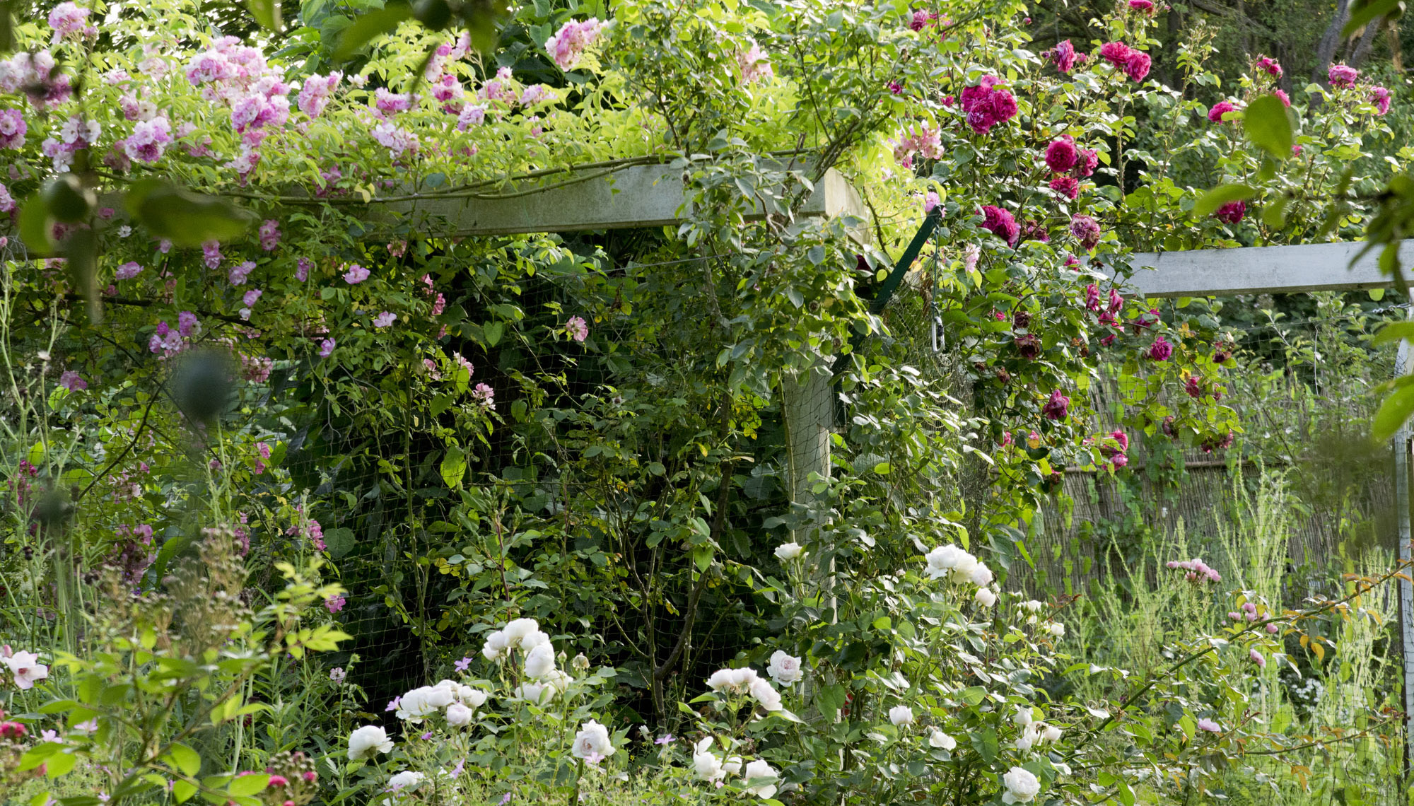Elke Pilmaier Gartengestaltung