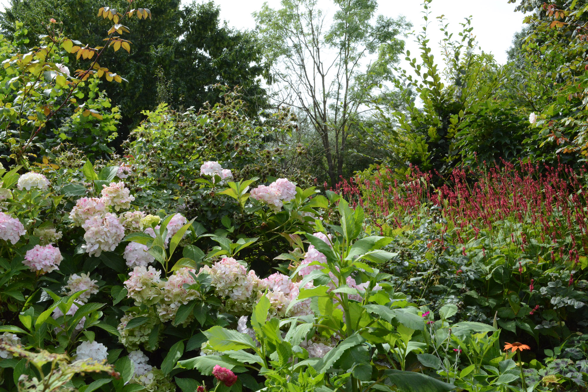 Elke Pilmaier Gartengestaltung