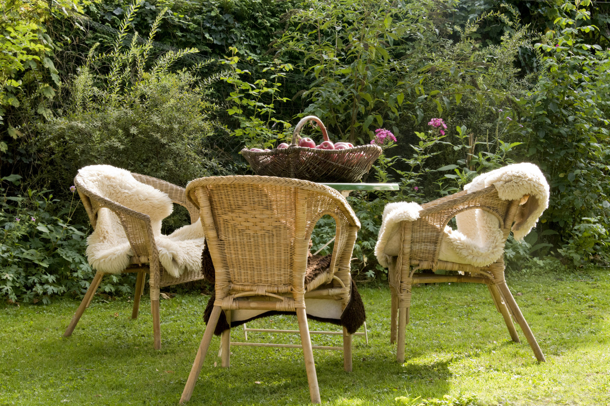Elke Pilmaier Gartengestaltung
