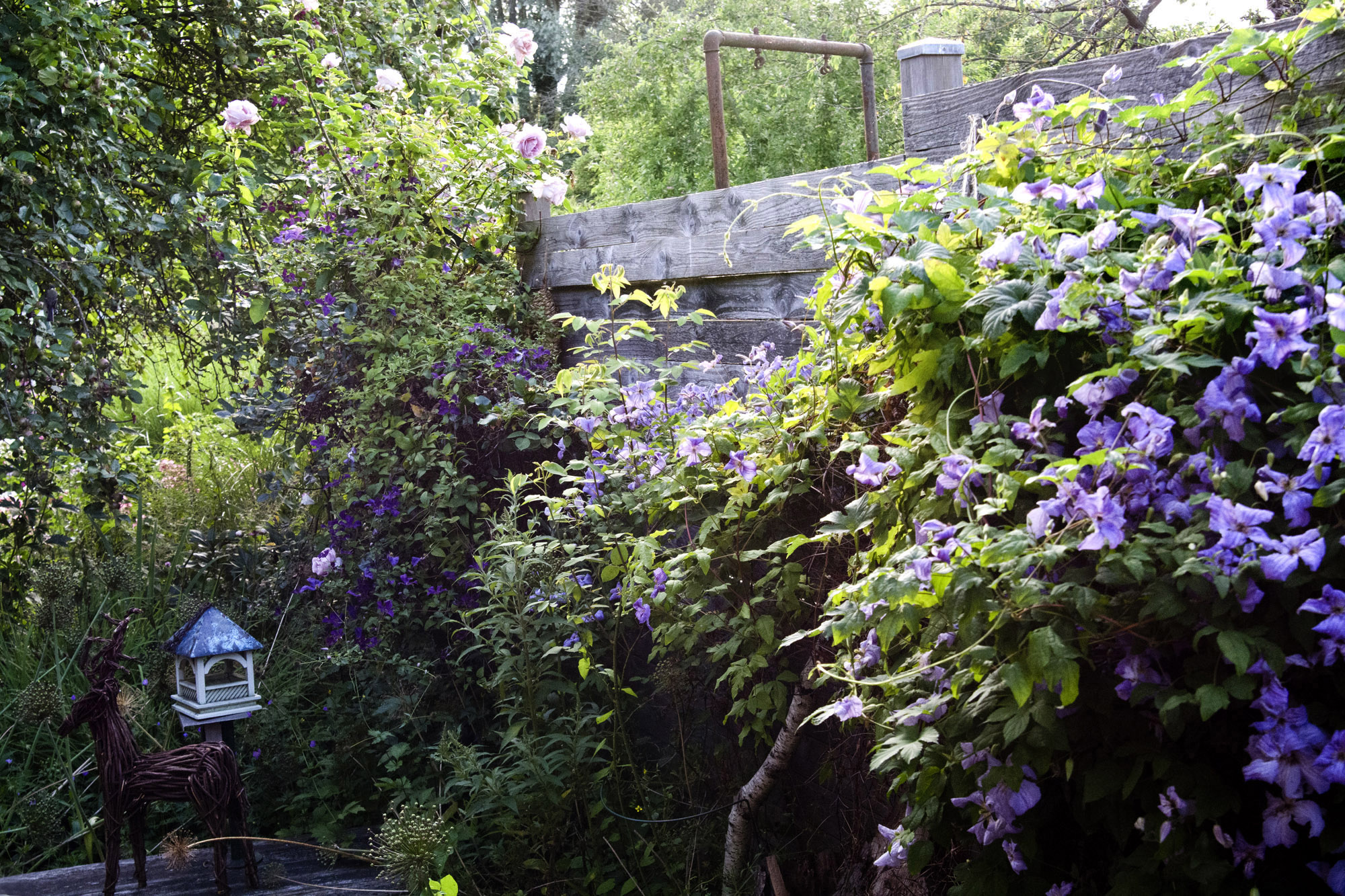 Elke Pilmaier Gartengestaltung