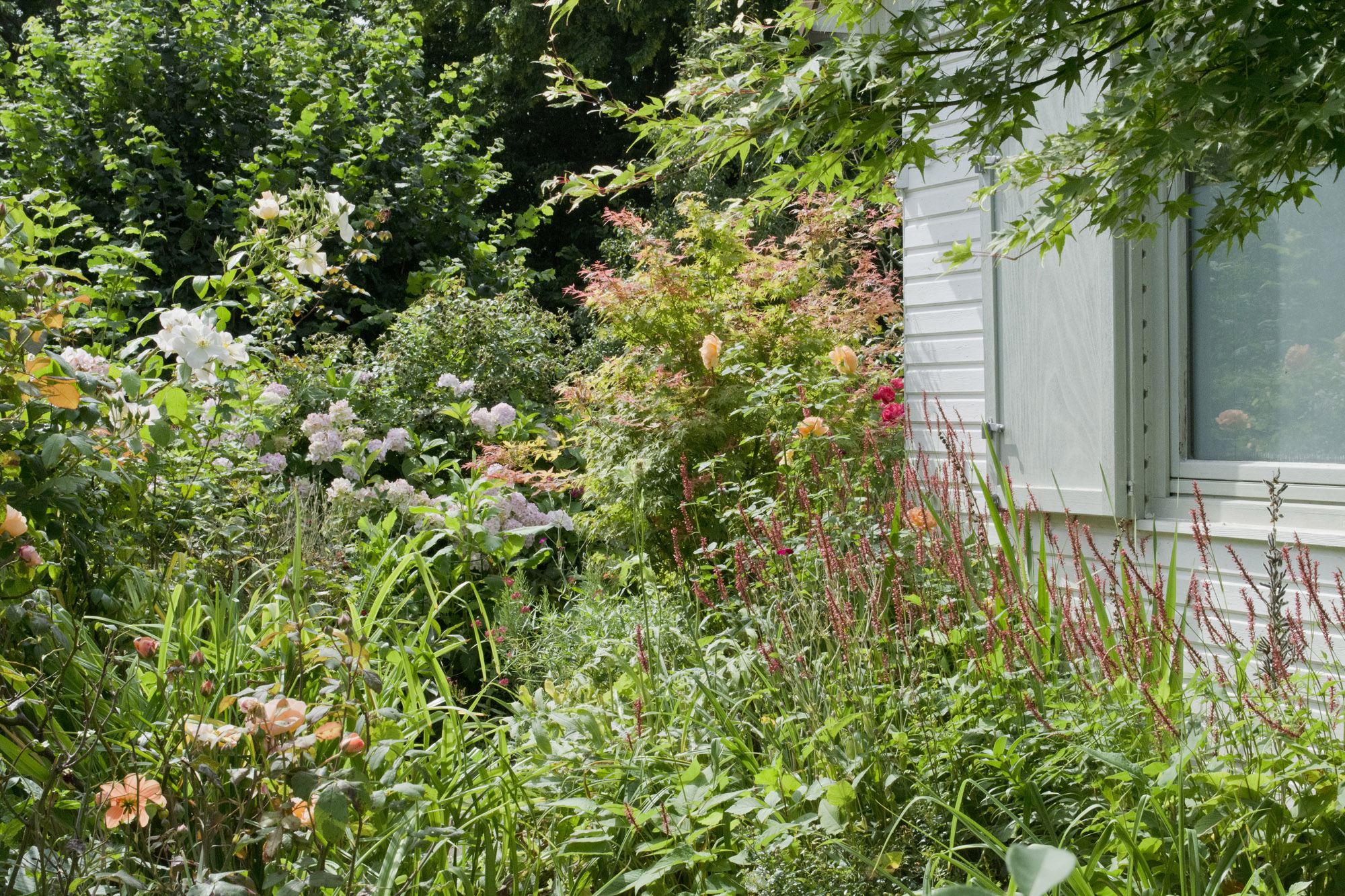 Elke Pilmaier Gartengestaltung