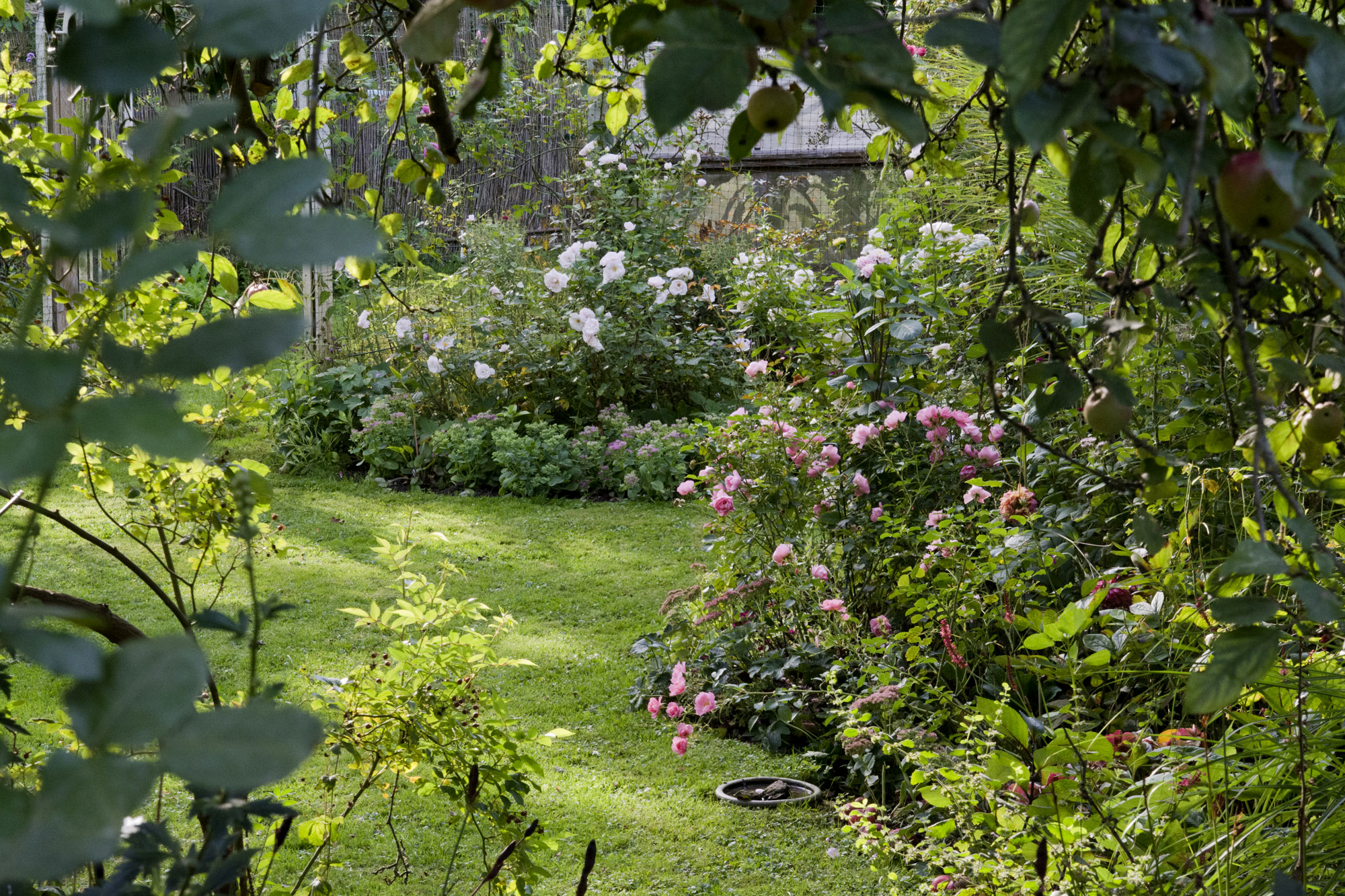 Elke Pilmaier Gartengestaltung