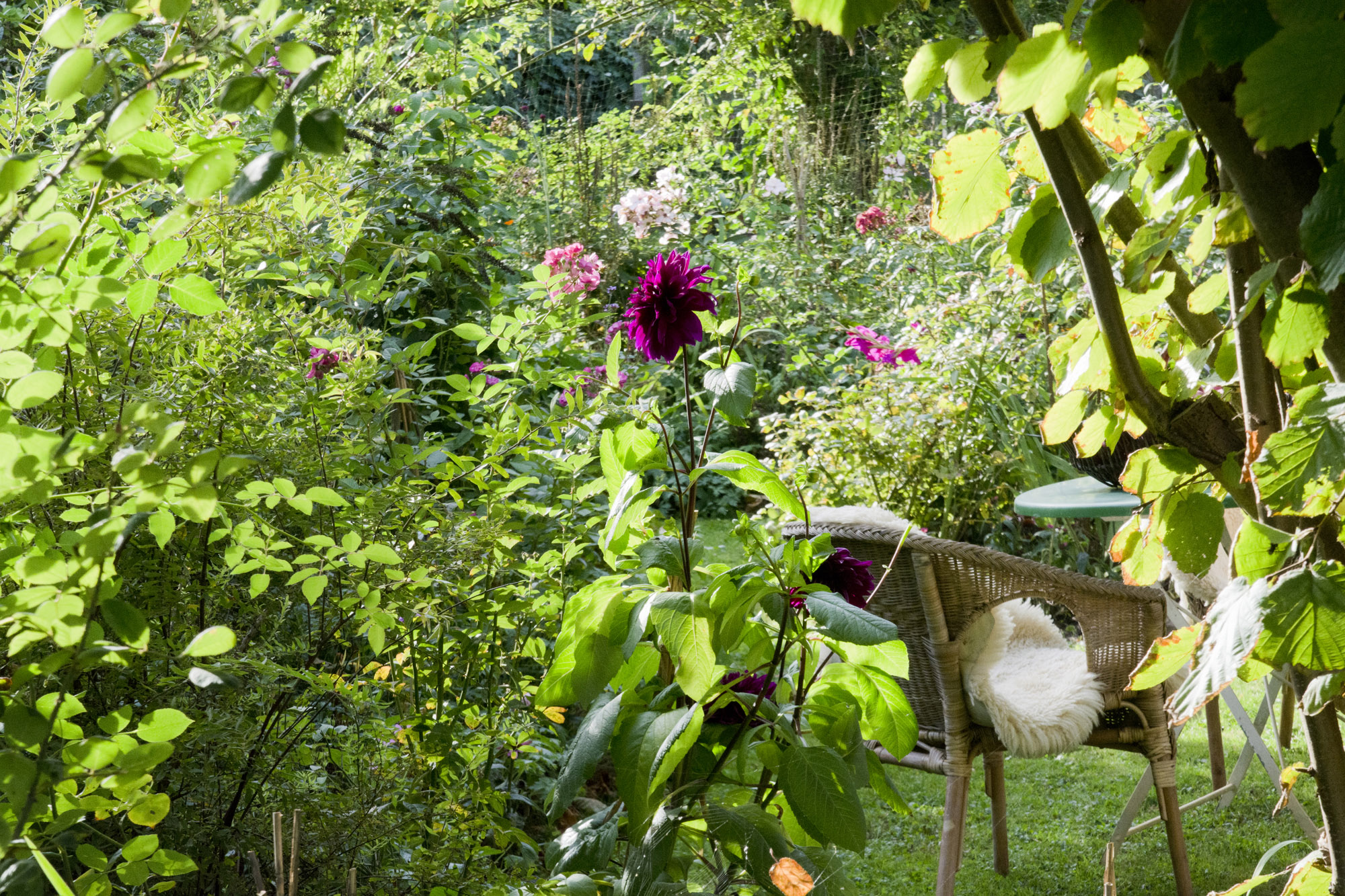 Elke Pilmaier Gartengestaltung