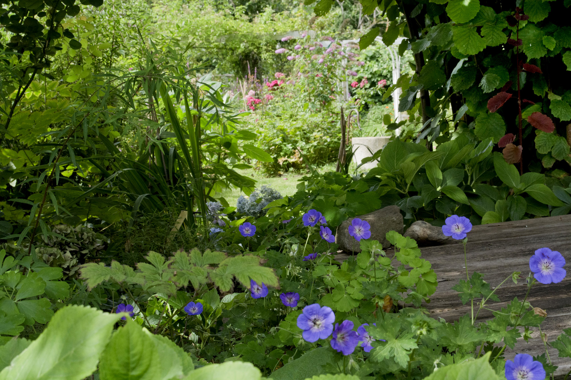 Elke Pilmaier Gartengestaltung