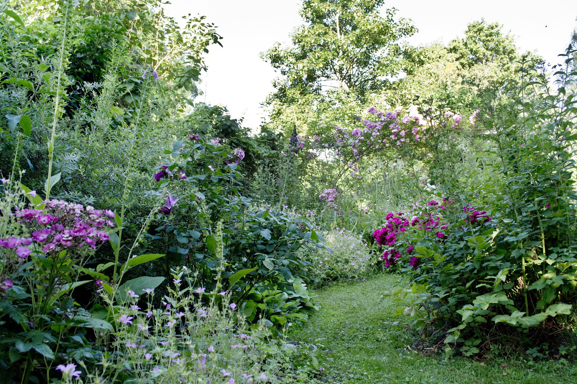Elke Pilmaier Gartengestaltung