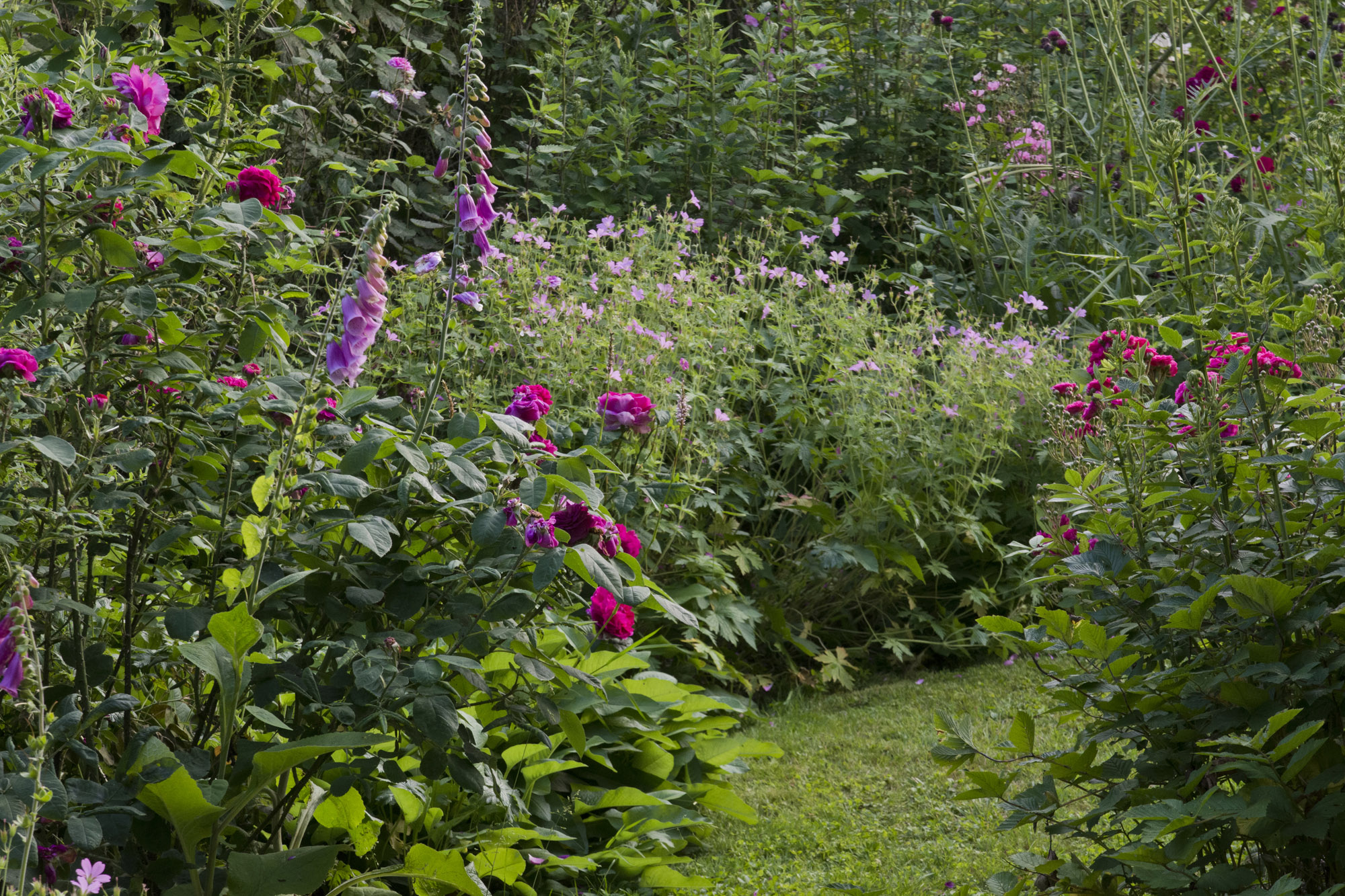 Elke Pilmaier Gartengestaltung