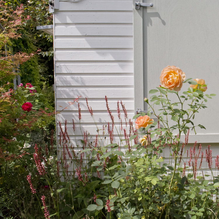 Elke Pilmaier Gartengestaltung