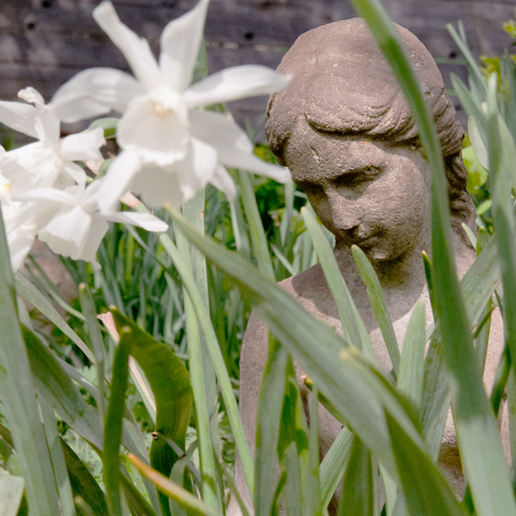 Elke Pilmaier Gartengestaltung