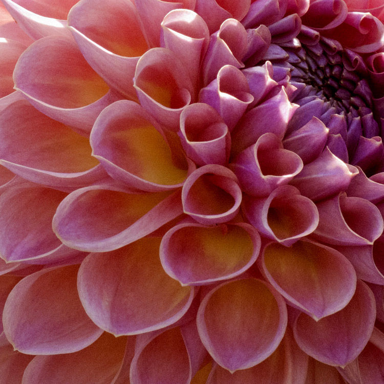Elke Pilmaier Gartengestaltung