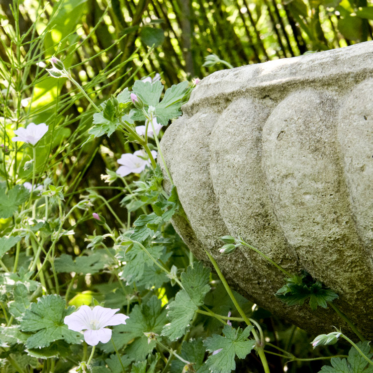 Elke Pilmaier Gartengestaltung