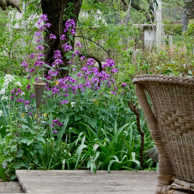 Elke Pilmaier Gartengestaltung