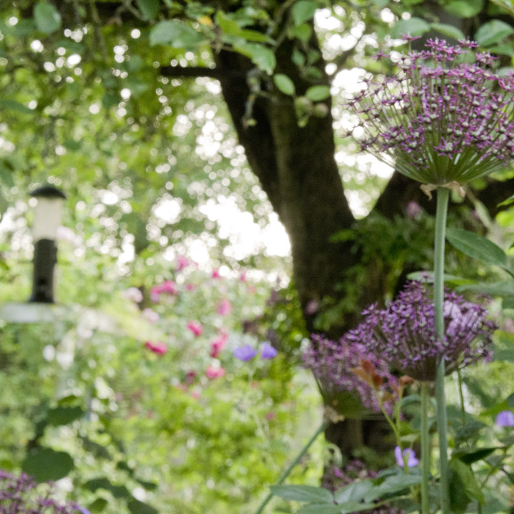 Elke Pilmaier Gartengestaltung