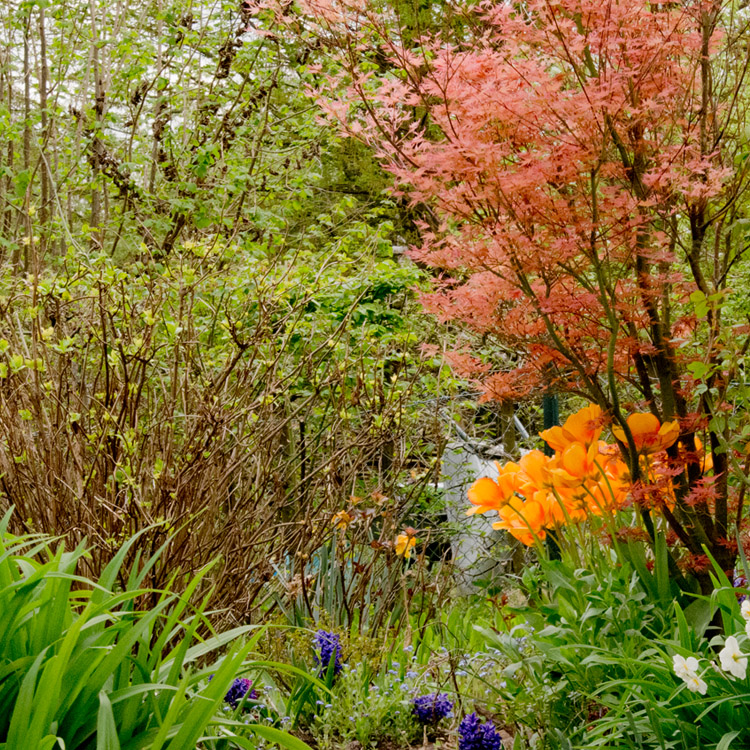 Elke Pilmaier Gartengestaltung